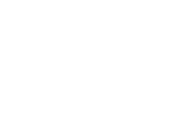 Business ON les experts du Business digital